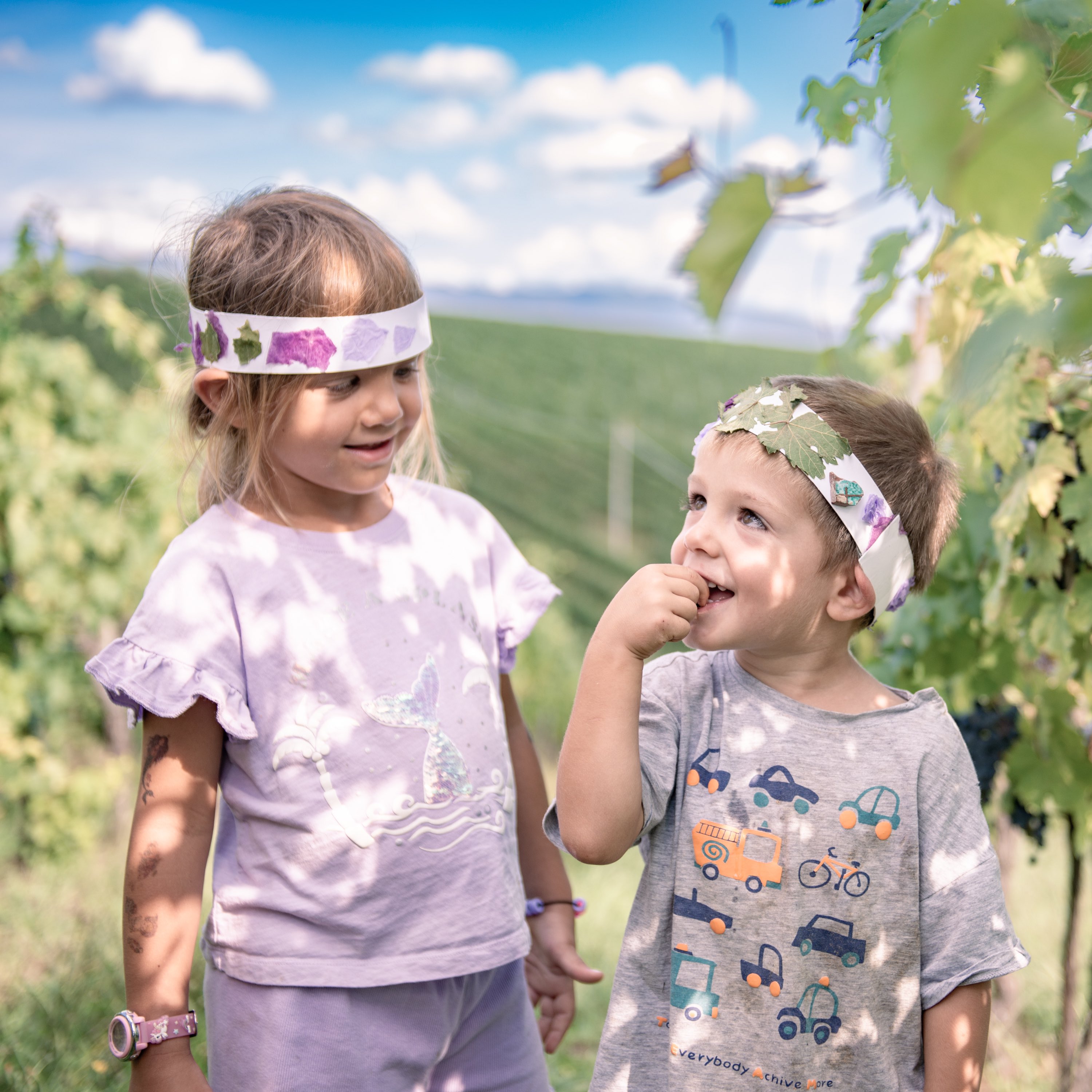 SOCIETÀ AGRICOLA LE DRIADI S.R.L. — foto 2